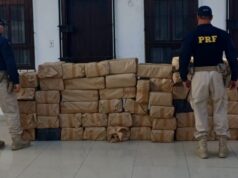 PRF apreende mais de 1,1 tonelada de maconha na Rodovia Presidente Dutra em Queluz