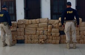 PRF apreende mais de 1,1 tonelada de maconha na Rodovia Presidente Dutra em Queluz