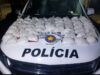 Tonel “recheado” de drogas é encontrado enterrado em área de mata em Aparecida